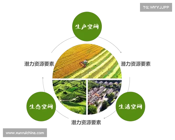 土储转化最佳实践探索及策略解析助力房地产开发高效落地